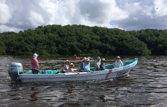  Kajaks und Boot in den Mangroven 